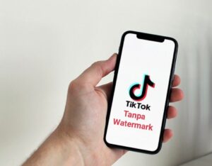 Aplikasi Download Tiktok Tanpa Watermark