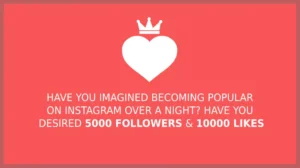 Royal Like Followers Instagram